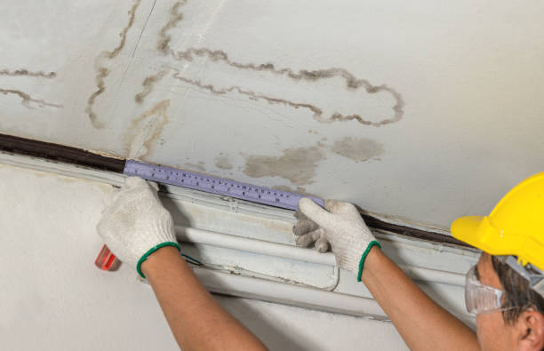 Reliable Water Damage Repair contractor in Manchester, MI by Hirex Water Damage